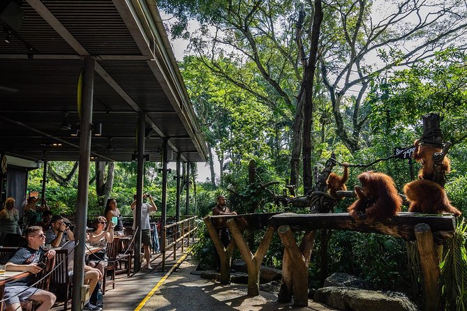 Morning at the Zoo With Transfer - Group Size