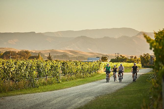 Morning Guided With Afternoon Self-Guided Biking Wine Tour - What to Bring