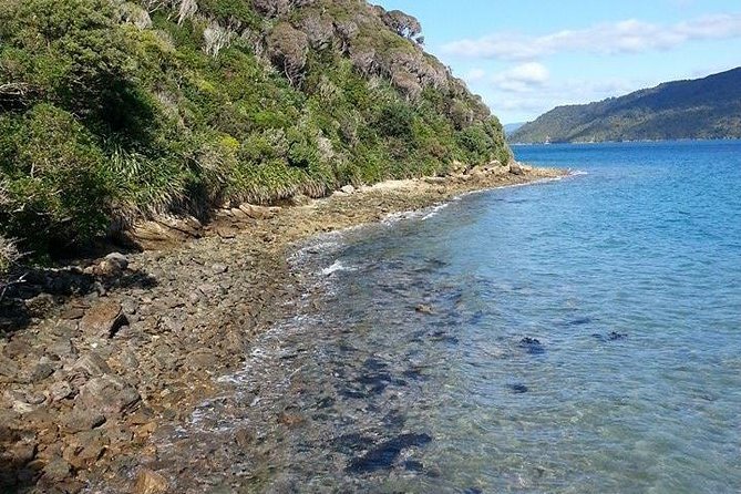 Motuara Island Bird Sanctuary and Ship Cove Cruise From Picton - What to Bring on the Cruise