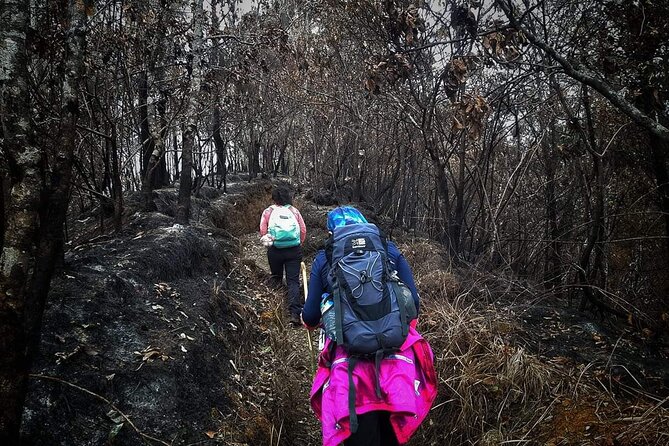 Mount Rinjani Trekking to Second Summit 2 Day 1 Night - Tips for a Successful Trek
