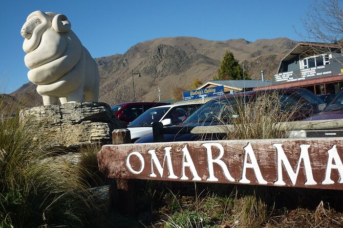 Mt Cook & Hooker Valley Hike Small Group Tour From Queenstown - Traveler Reviews and Feedback