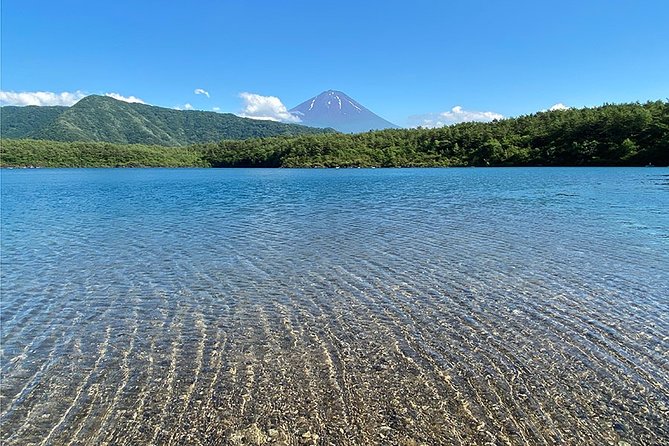 Mt Fuji Lakeshores Full-Day Bike Tour - Booking Information