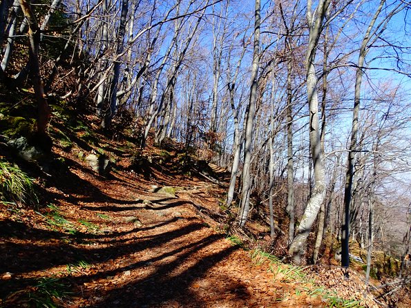 Mt. Vitosha and Boyana Waterfall Hiking Tour From Sofia - Booking Tips and Recommendations