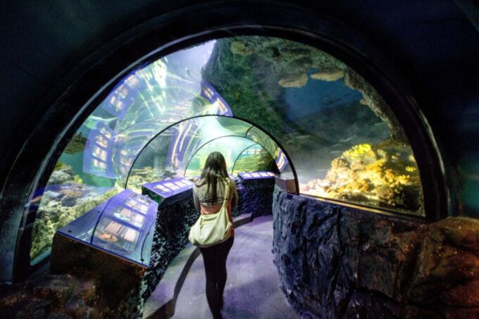Munich: Day Ticket to Sea Life - Tips for Your Visit