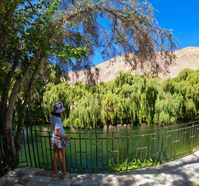 Must-sees of the Elqui Valley - Tour Inclusions and Benefits