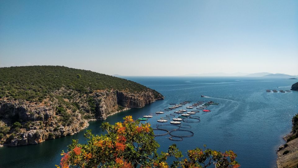 Mycenae-Nafplio Private Full Day Tour With Mini Bus - Booking and Cancellation Policy