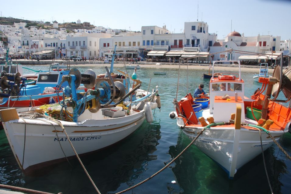 Mykonos Shore Excursion: City & Island Tour - What to Bring on the Excursion