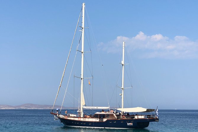 Mykonos: Superior Cruise to Rhenia Island and Delos Guided Tour (Free Transfers) - Tour Capacity and Group Size
