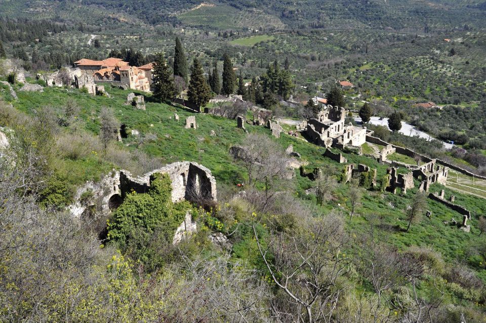 Mystras Castle Town, Sparta, Olive Museum Private Day Tour - Cancellation and Flexibility