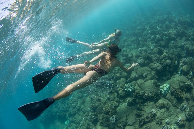 Na Pali Coast Kauai Snorkel and Sail - Recap