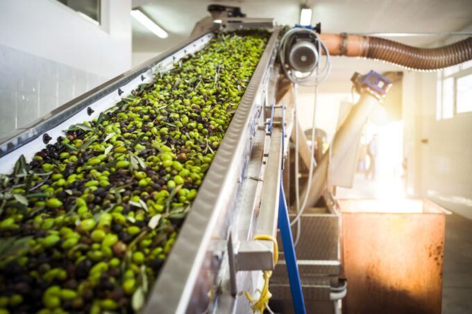 Nafplion: Olive Oil Tasting and Visit to Ancient Epidavros - Frequently Asked Questions