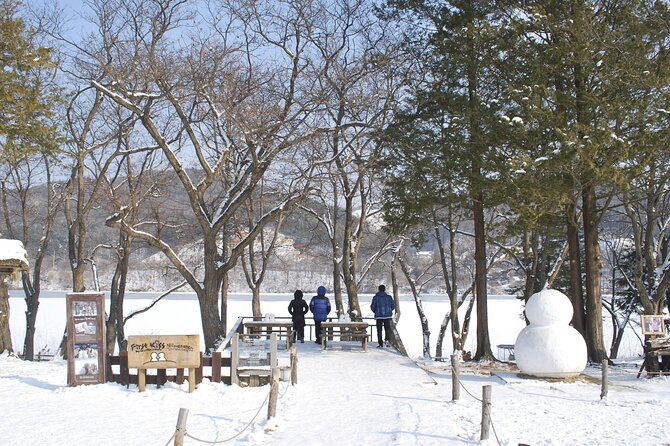 Nami Island & Strawberry Trip With Railbike & Opt. Korean Garden - Customer Reviews and Feedback