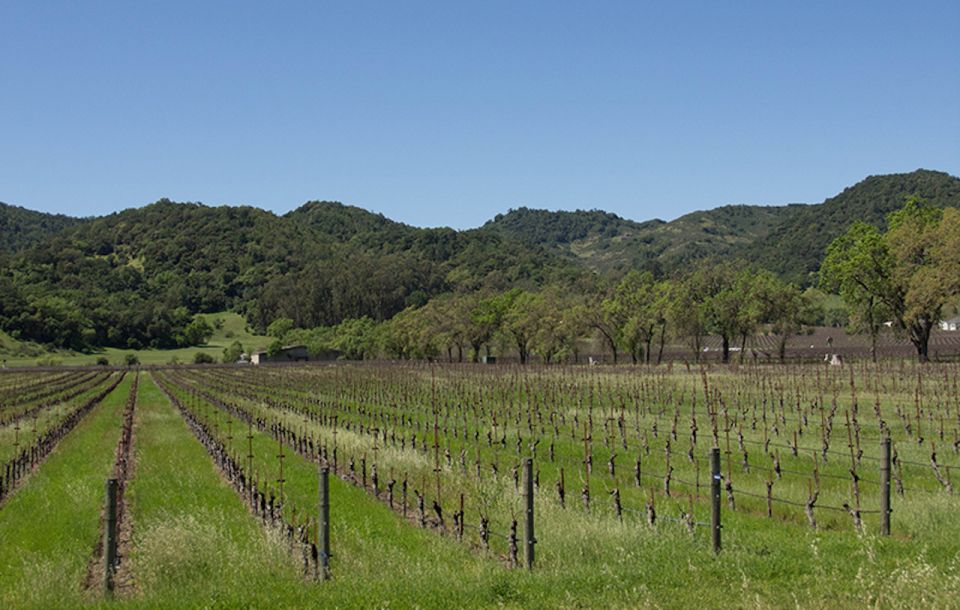 Napa Valley: Wine Tasting Tour by Open Air Trolley & Lunch - Transportation in an Open-Air Cable Car