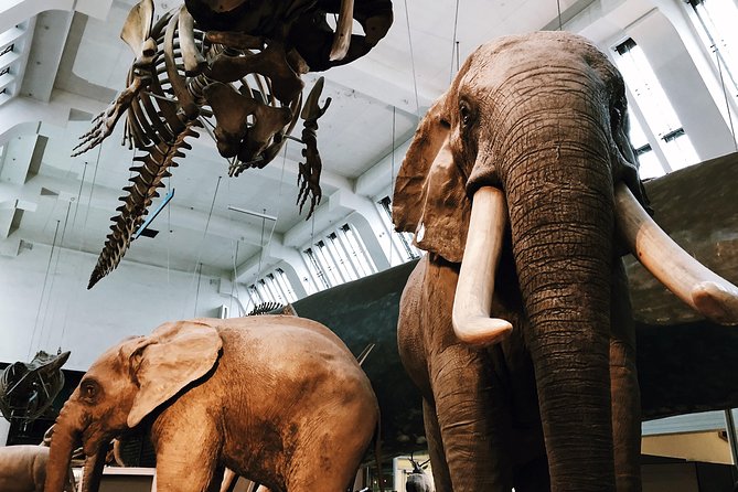 Natural History Museum London - Private Guided Museum Tour - Booking and Confirmation