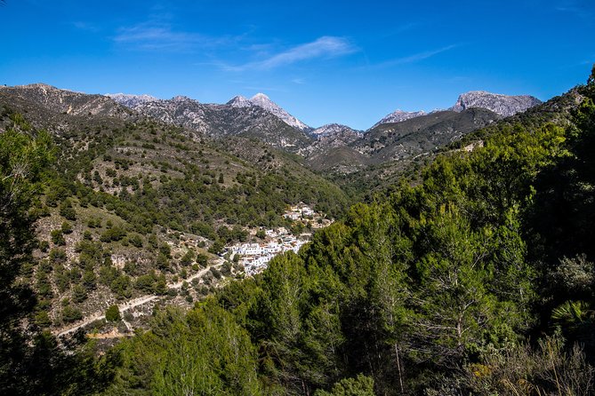 Nerja (Village) + Frigiliana & El Acebuchal - Semi-Private - Recommended Activities and Dining