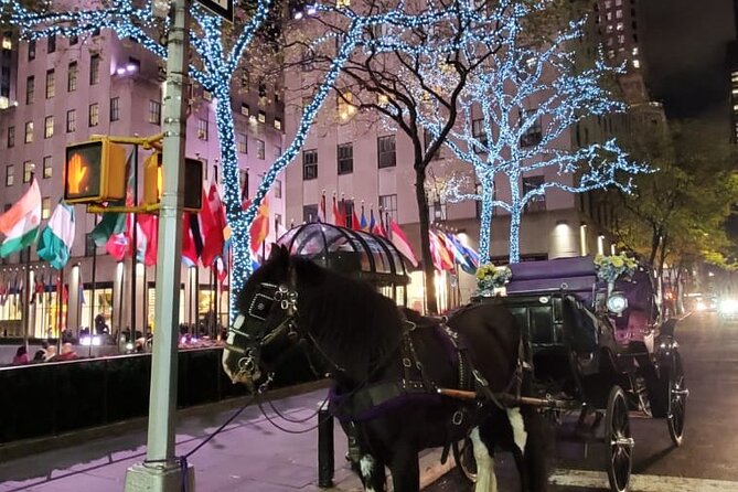 New York City Christmas Lights Private Horse Carriage Ride - Additional Considerations