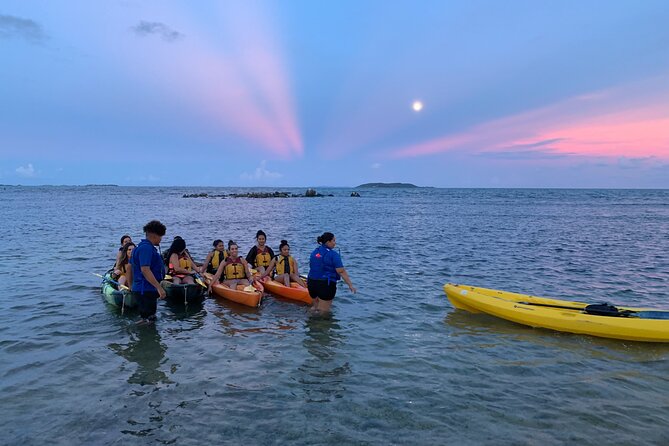 Night Kayaking Experience on Bioluminescent Lagoon in Fajardo - Optimal Conditions for Bioluminescence