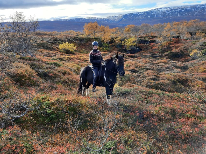 North Iceland: Horseback Riding Tour - Booking Information