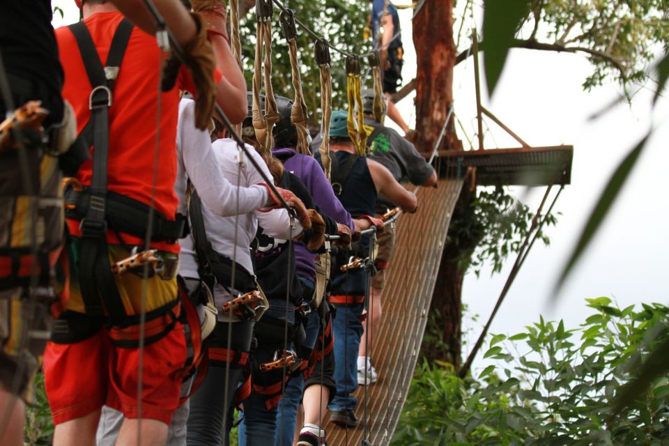 North Maui: 7 Line Zipline Adventure With Ocean Views - Camera and Photography