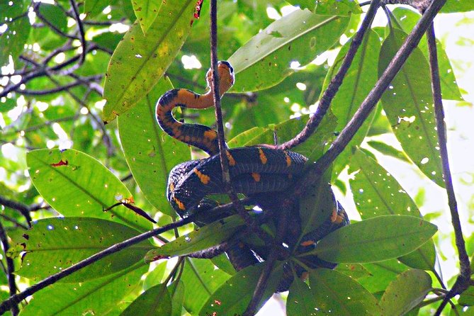 Northern Bintan Full Day Tour - Pricing and Booking Information