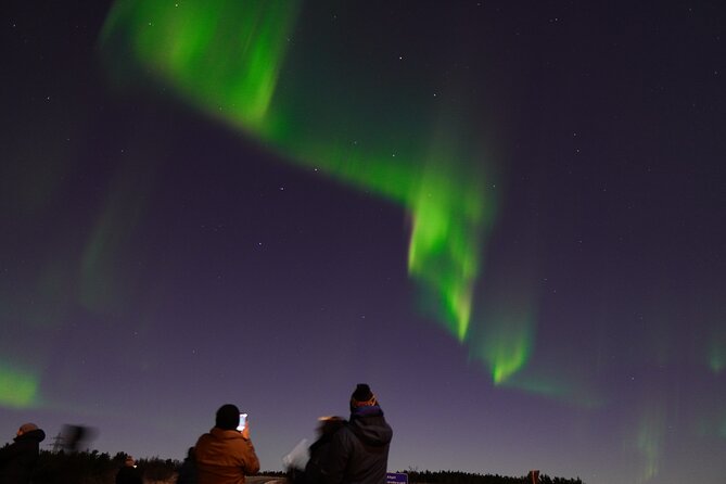 Northern Lights Tour - Free Pro Photos - Unlimited Retries - Reviews and Badge