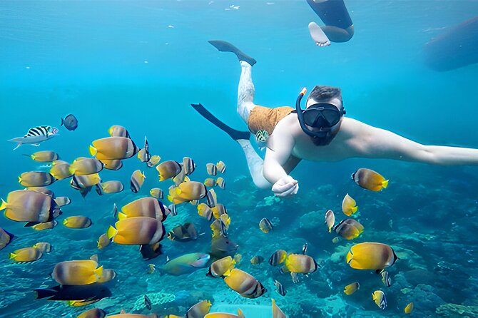 Nusa Penida Island Beach Tour With Snorkeling - Departure From Bali Island - Pickup Locations in Bali