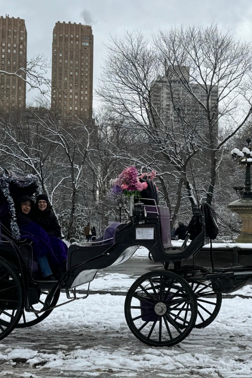 NYC Empire State Horse Carriage Rides (Central Park Tour) - Magnificent Sightseeing Tour