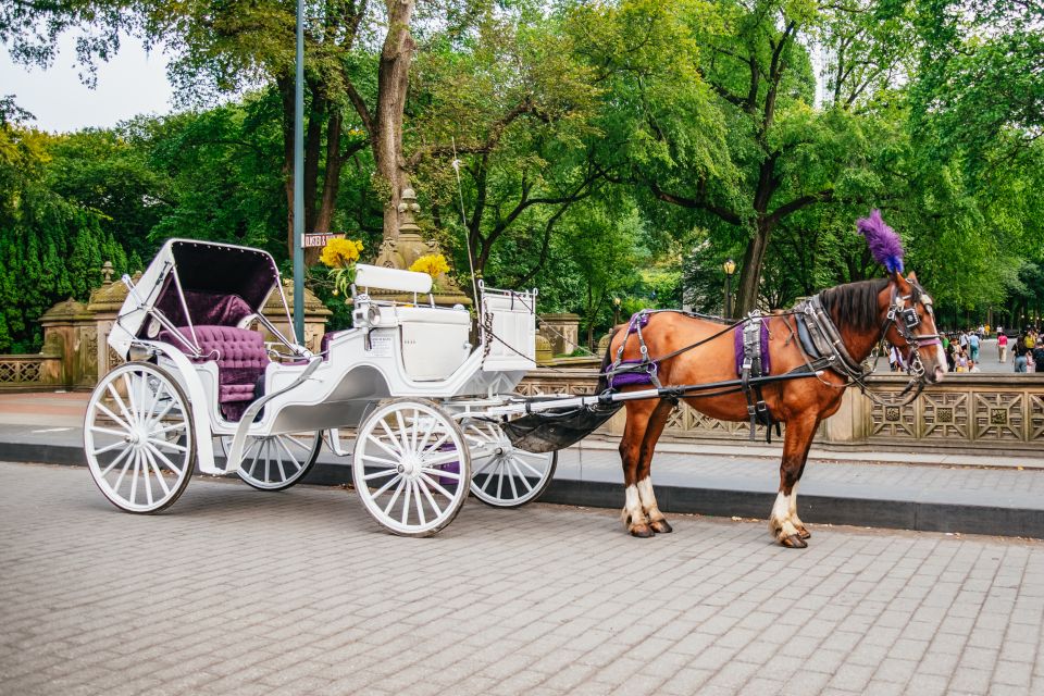 NYC: Guided Central Park Horse Carriage Ride - Suitable for Groups