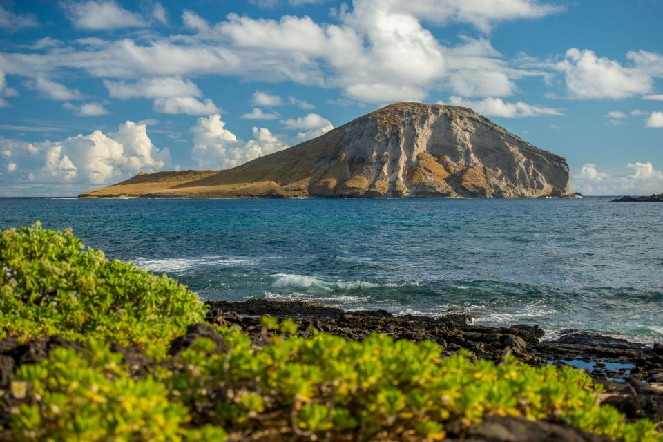 Oahu: Honolulu Sunrise Photos Tour With Malasadas - Customer Reviews