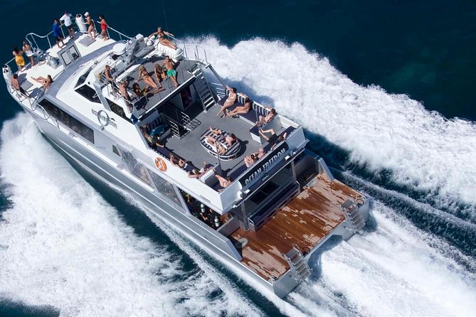 Ocean Freedom Great Barrier Reef Luxury Snorkel and Dive Cruise - Tips for Travelers