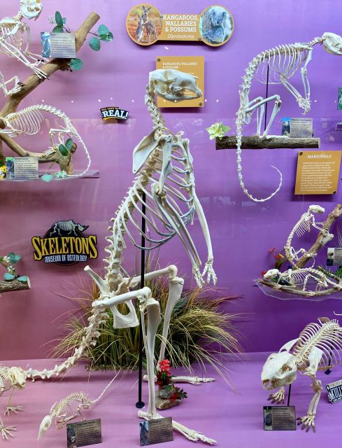 Oklahoma City: SKELETONS: Museum of Osteology Ticket - Accessibility and Logistics