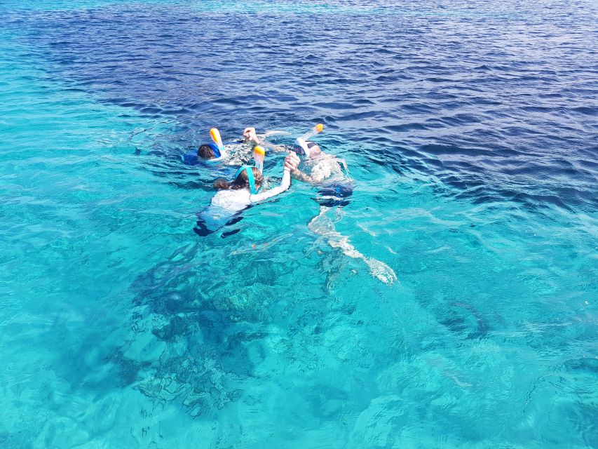 Olbia: Dolphin Watching & Snorkeling Boat Tour Near Figarolo - Snorkeling Adventure