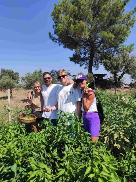 Olive Tasting & Rustic Lunch in Country Home With Live Music - Accessibility Information