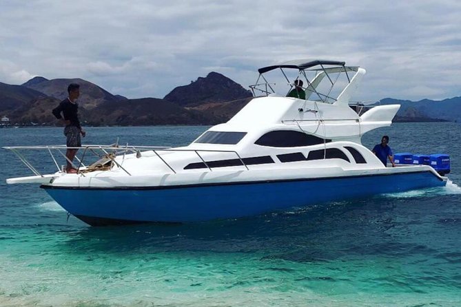 One Day Komodo Trip With Speed Boat - Group Size