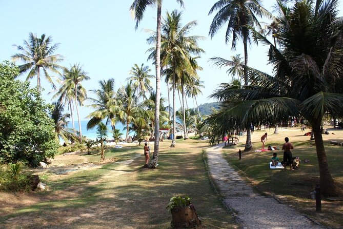 One Day Trip to Angthong Marine Park by Big Boat - Tips for a Great Day