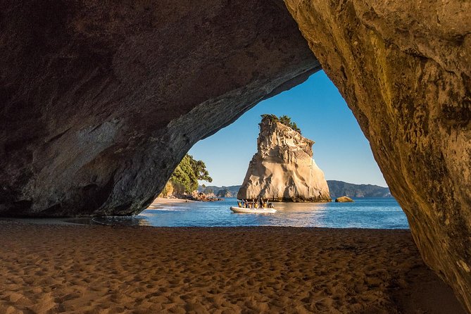 One Hour Cathedral Cove Boat Tour in Hahei - What to Expect