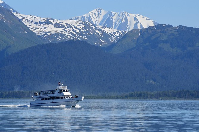 Orca Quest Cruise - Tips for a Great Experience