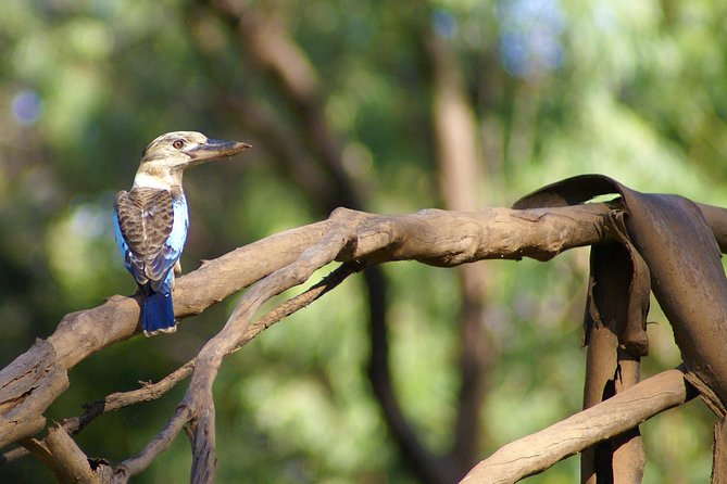 Ord River Cruise Experience With Riverside Lunch - Tips for Travelers