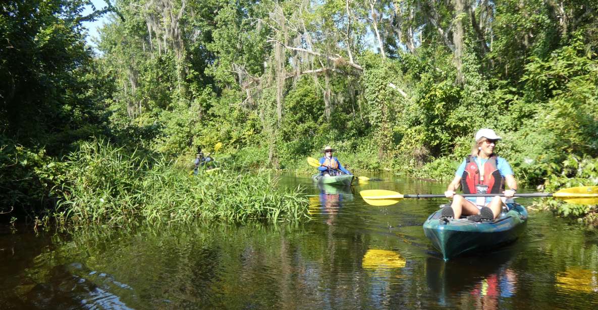 Orlando: Small Group Scenic Wekiva River Kayak Tour - What to Expect on the Tour