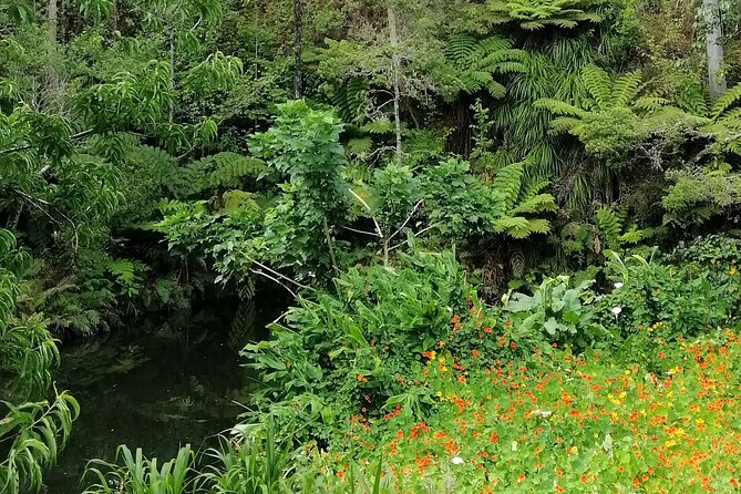 Pahia Shore Excursion: Private Half-Day Bay of Islands Tour - Tips for an Enjoyable Tour
