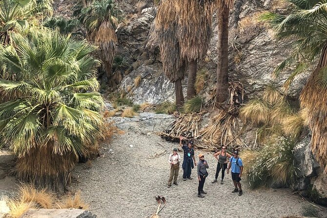 Palm Springs Hike to an Oasis and Amazing Desert Views - Booking and Meeting Information