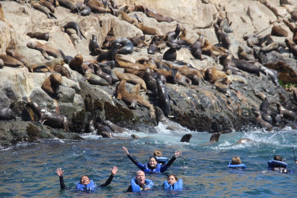 Palomino Islands: Swim With Sea Lions in the Pacific Ocean - Environmental Responsibility