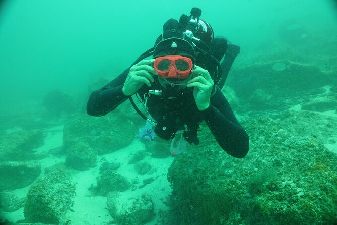 Panama City Scuba Diving Activity for Beginners - Tips for First-Time Divers