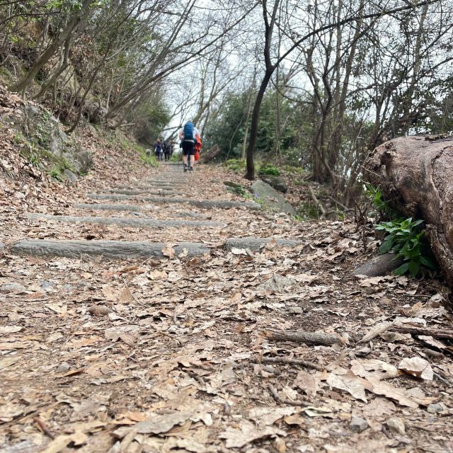 Panoramic Hike Como to Brunate: Lunch With Breathtaking View - Recommended Attire