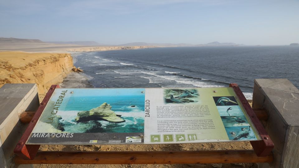 Paracas: Paracas National Reserve Half Day Tour - Wildlife and Ecosystems