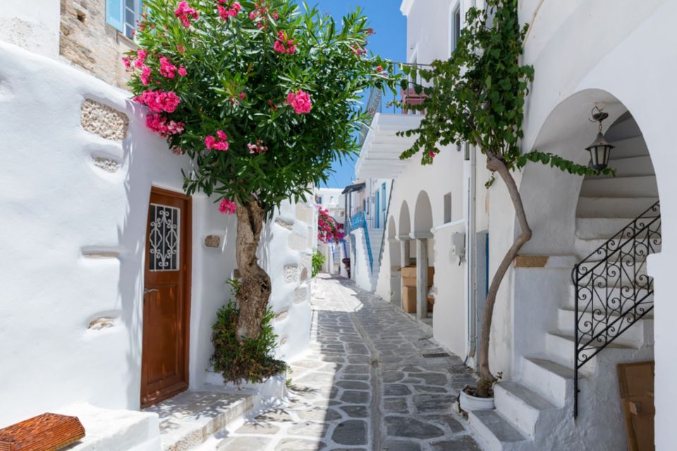 Paros: Private Sunset Highlights MiniVan Tour - Pricing Details