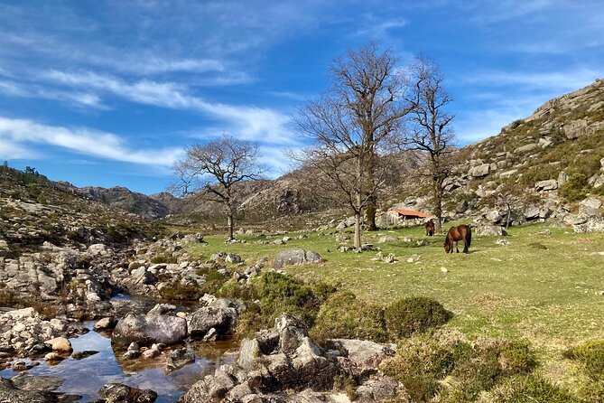 Peneda-Gerês Hiking & Sightseeing: Private Experience - Discovering Granite Massifs and Waterfalls