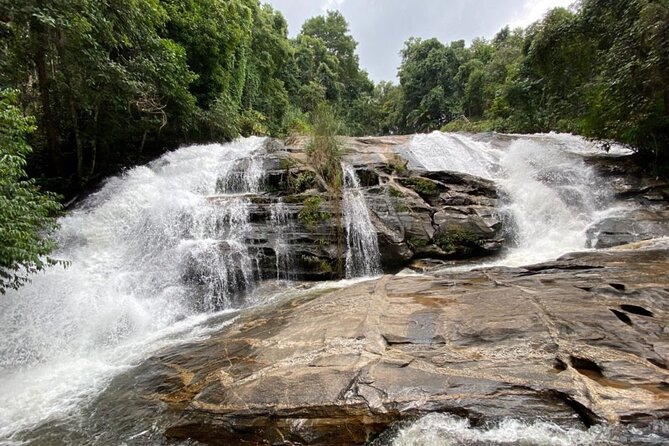 Pha Dok Siew Nature Trail & Doi Inthanon National Park From Chiang Mai - Tips for a Successful Visit