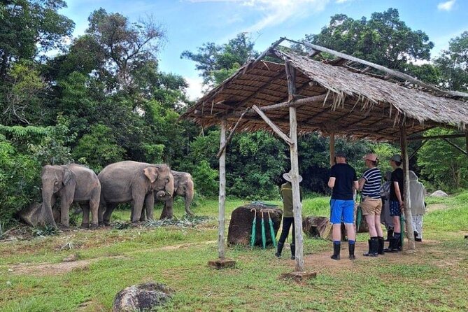 Phuket Best: City Tour & Elephant Park Experience - Tips for a Great Experience