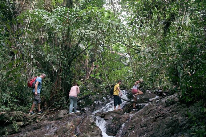 Phuket Jungle Trekking Experience at Khao Phra Taew National Park - What to Expect